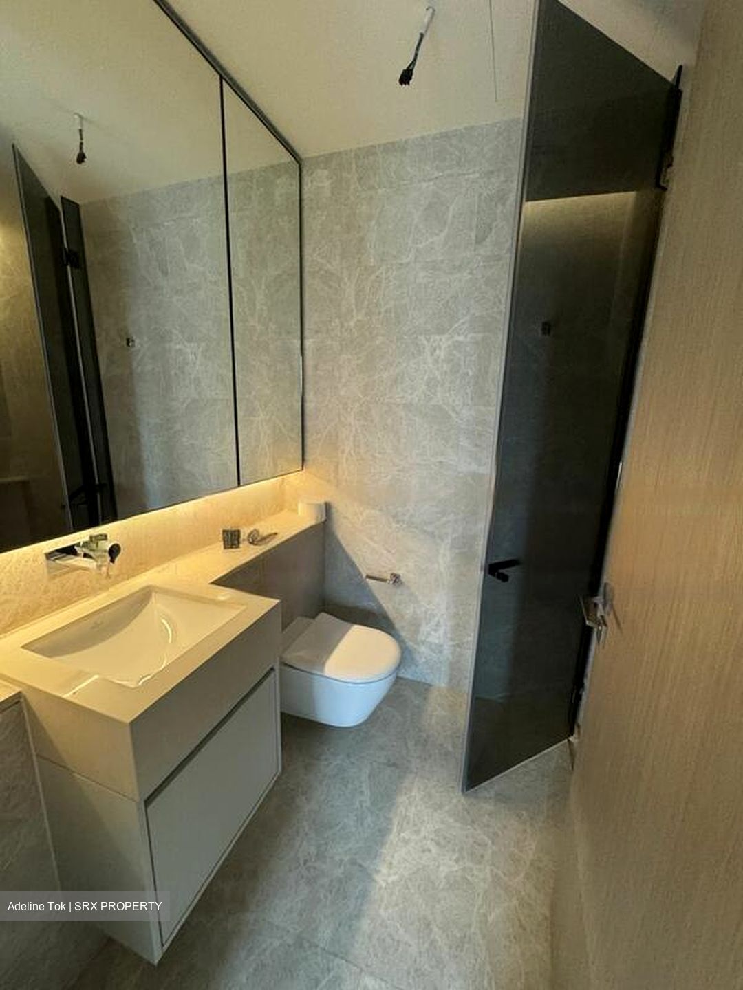 Amber Park (D15), Condominium #582412301